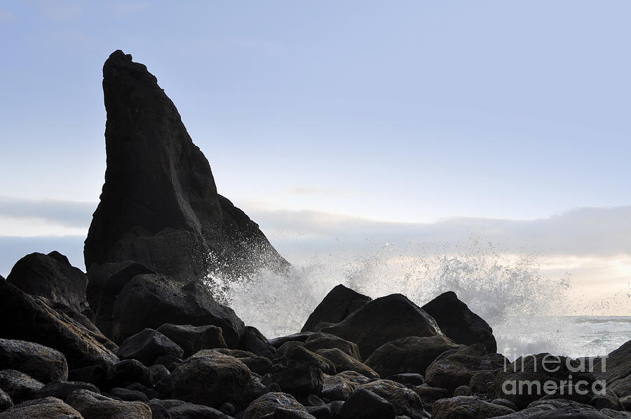 Pacific Wave Photograph by Stevyn Llewellyn