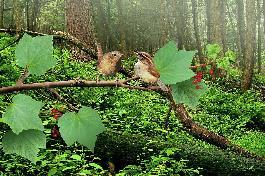 Pacific Wrens and Red Currants Digital Art by Spadecaller