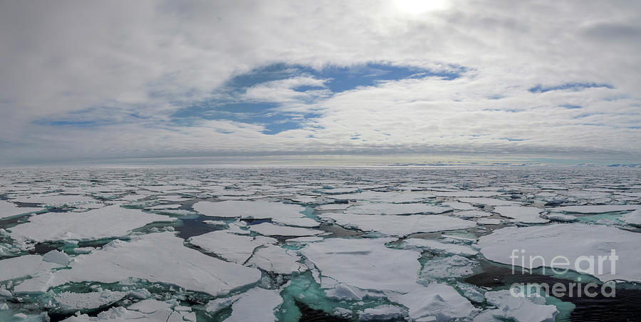 Pack Ice Photograph by Brian Kamprath