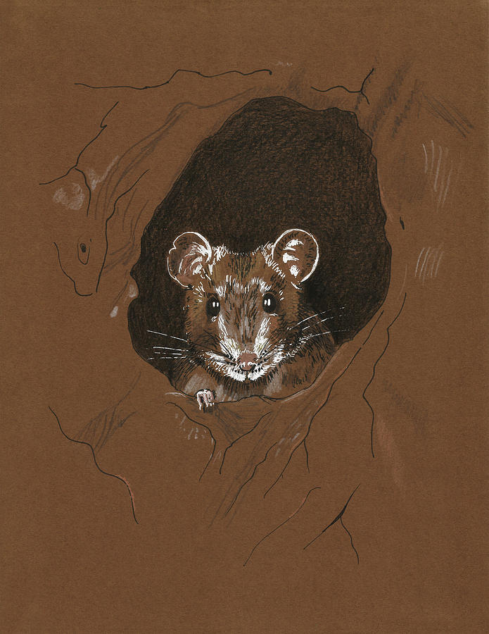 Animal Painting - Pack Rat by Masha Batkova