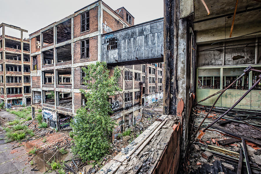 Detroit Photograph - Packard Destruction by Cindy Lindow