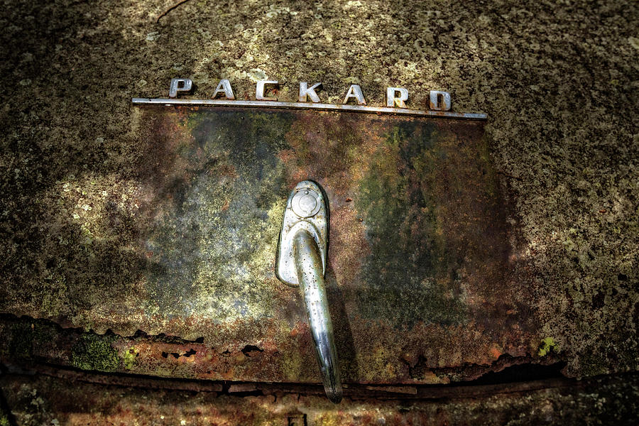 Packard Emblem Photograph by Debra and Dave Vanderlaan