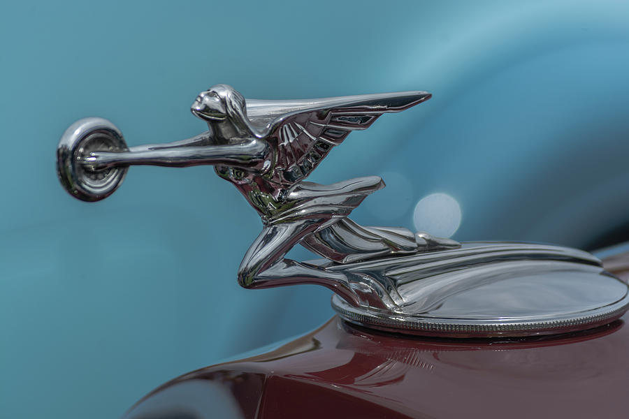 Packard Emblem Photograph by Stewart Helberg