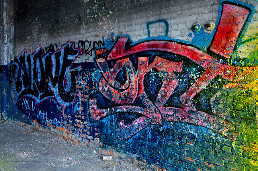 Packard Plant Graffiti Photograph by Marilyn Feather - Fine Art America