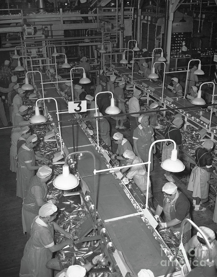 Cannery Row Photograph - Packing tables at Del Monte Packing  California Packing Corporation 1949 by Monterey County Historical Society