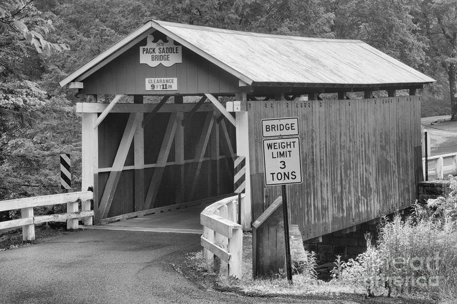 Packsaddle Covered Bridge Landscape Black And White Photograph by Adam Jewell