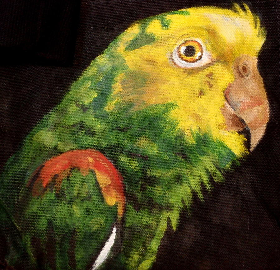 Paco Painting by Carol Russell