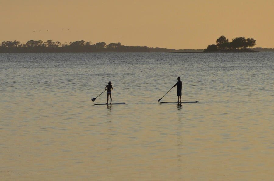 Paddle Boarding on the Gulf Photograph by Bill Cannon