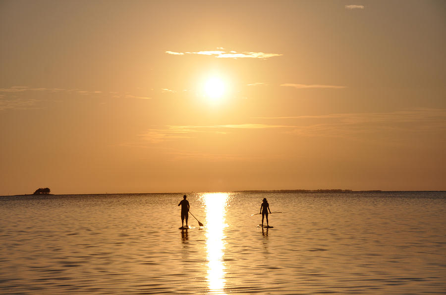 Paddle Boarding Out of the Sunset Photograph by Bill Cannon