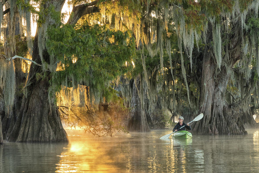 Nature Photograph - Paddle the Bayou by Christian Heeb