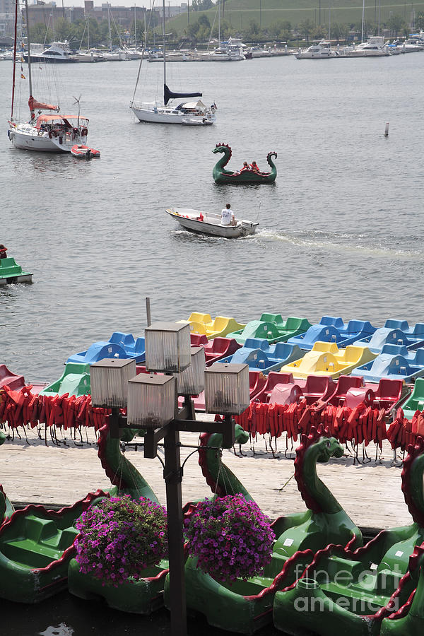 Paddleboats Waiting in the Inner Harbor at Baltimore Photograph by William Kuta