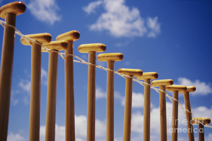 Paddles Hanging In A Row Photograph by Joss - Printscapes