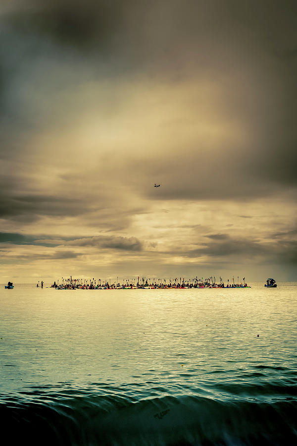 Paddles Up by Michael Lees Paddles Up by Michael Lees