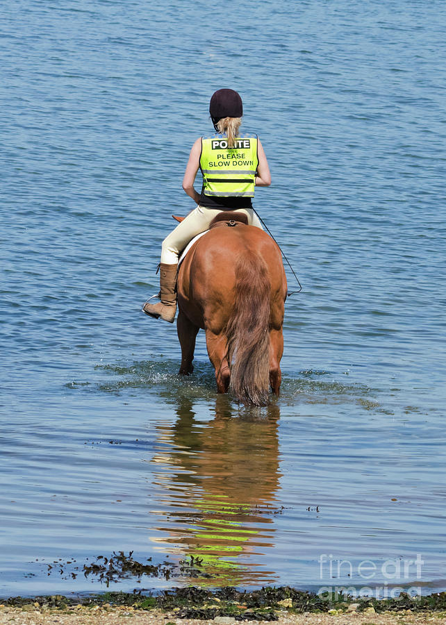 Paddling horse Photograph by Terri Waters