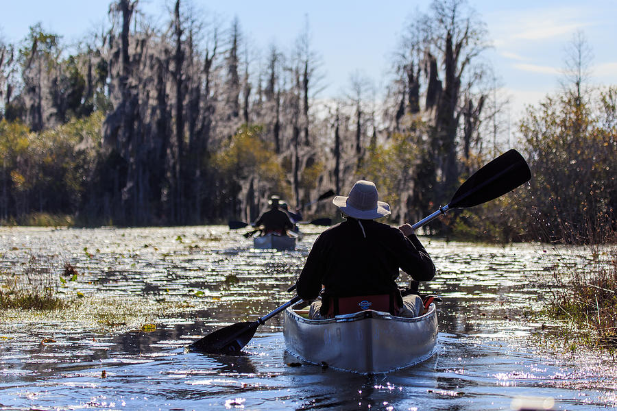 Paddling Okefenokee Swamp Photograph by Stefan Mazzola