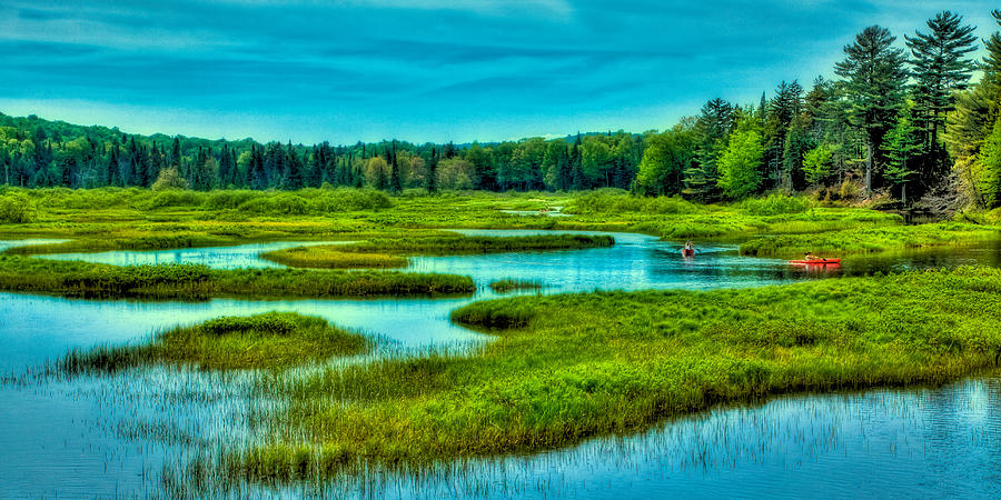 Paddling the North Branch of the Moose River Photograph by David Patterson