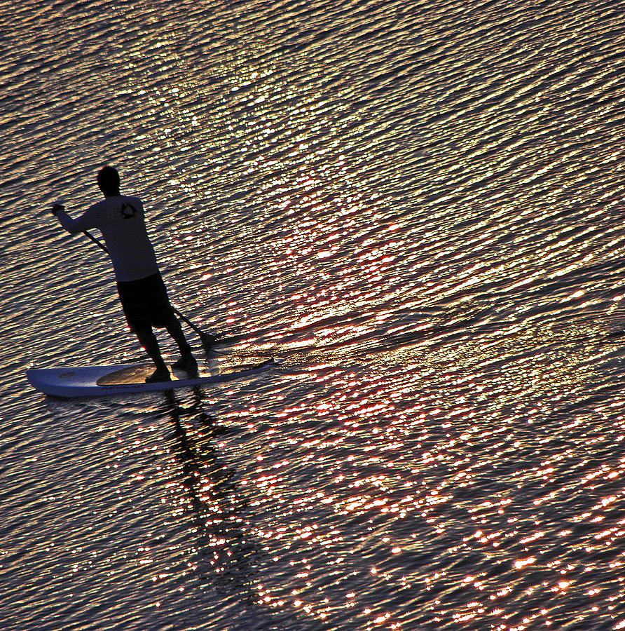 Paddling the Pacific Photograph by Elizabeth Hoskinson