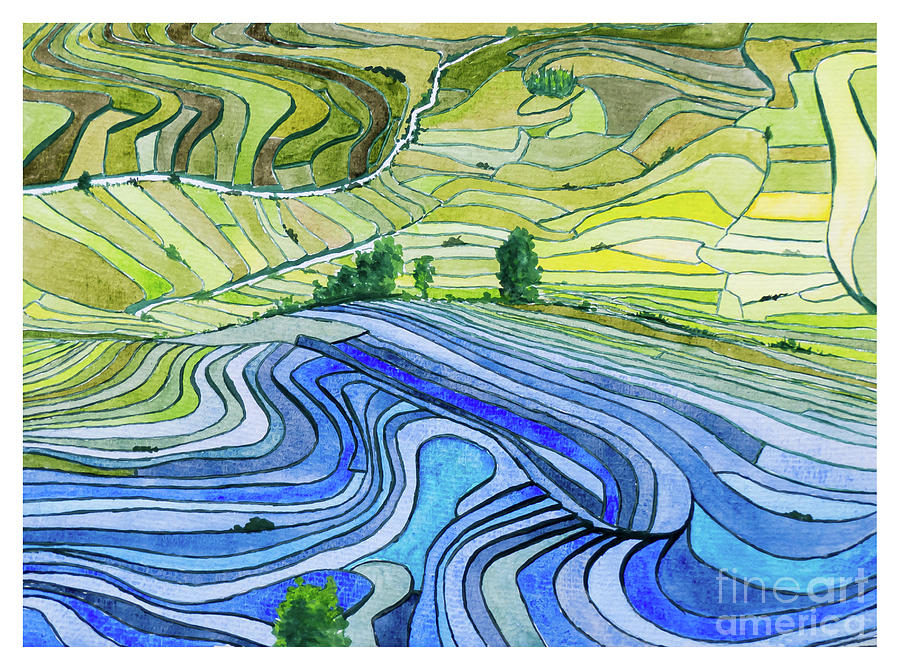 Paddy fields Painting by Rod Jones