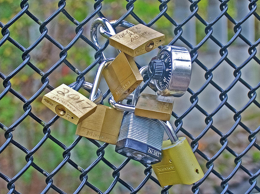 Padlocks on Bridge Fence over Rogue River along White Pine Trail in Kent County, Michigan Photograph by Ruth Hager