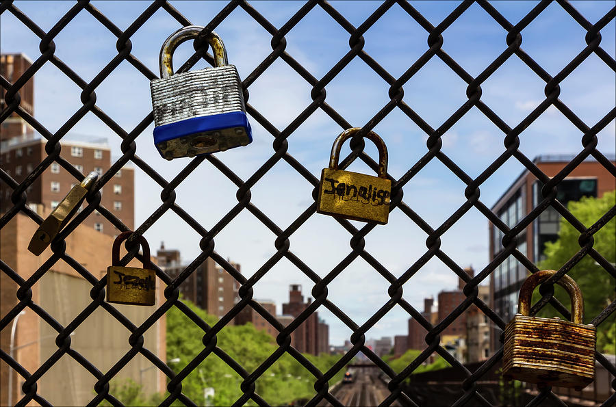 Padlocks on Chainlink Fence East Harlem NY Photograph by Robert Ullmann