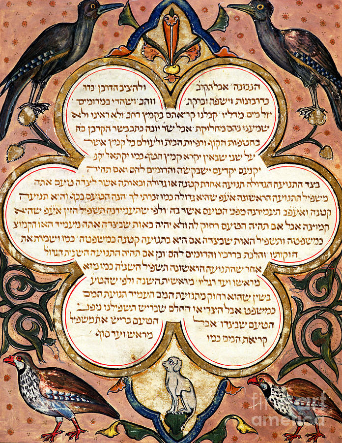 Page from a Hebrew Bible with birds, 1299  Painting by Joseph Ha-Zarefati