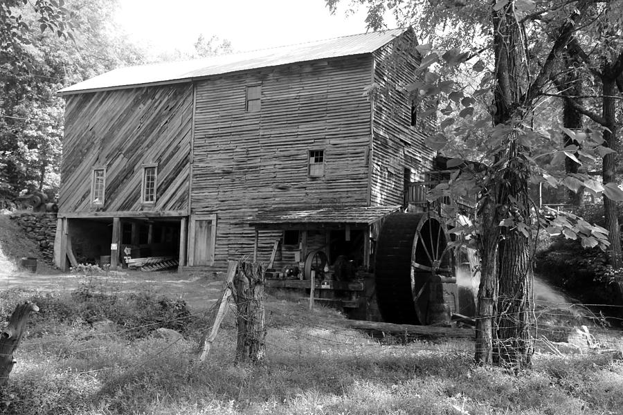 Page Mill Photograph by Dwight Cook