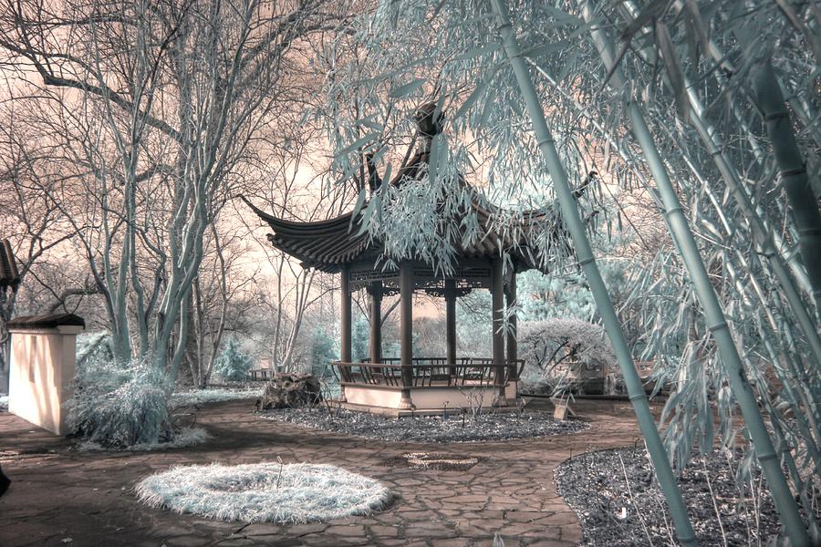 Pagoda bamboo chinese garden infrared Photograph by Jane Linders