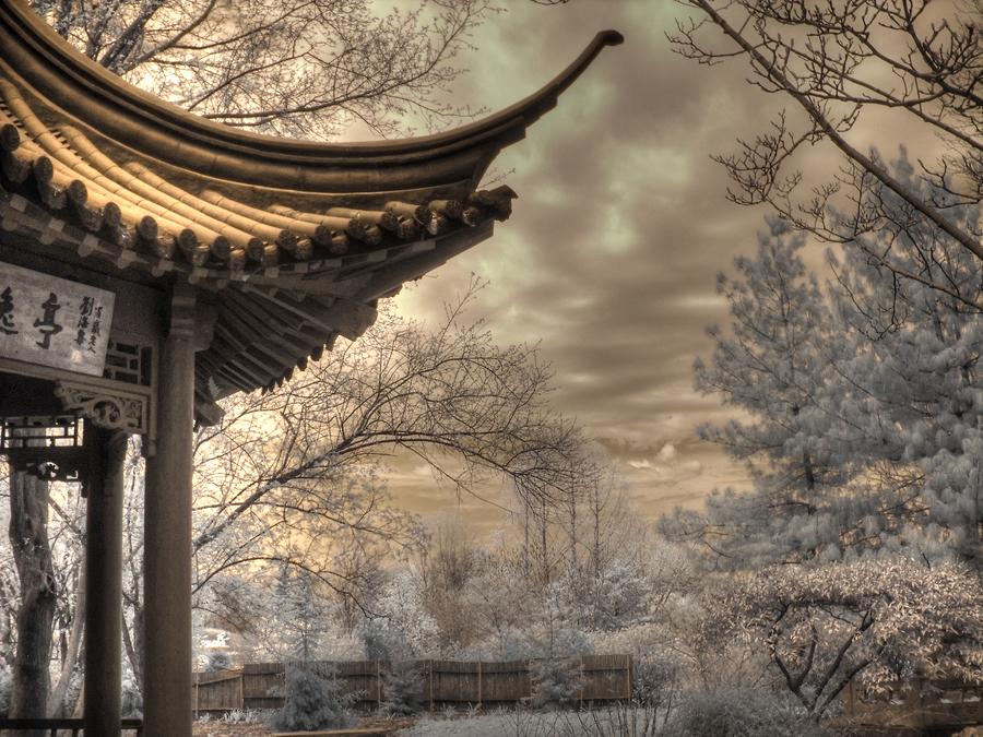 Pagoda Infrared Nanjing Friendship Garden Photograph by Jane Linders