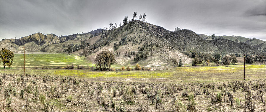 Paicines Country Panorama Photograph by SC Heffner