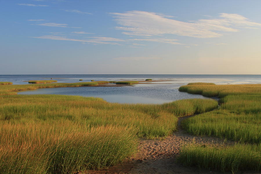 Paines Creek Marsh and Cape Cod Bay Photograph by John Burk