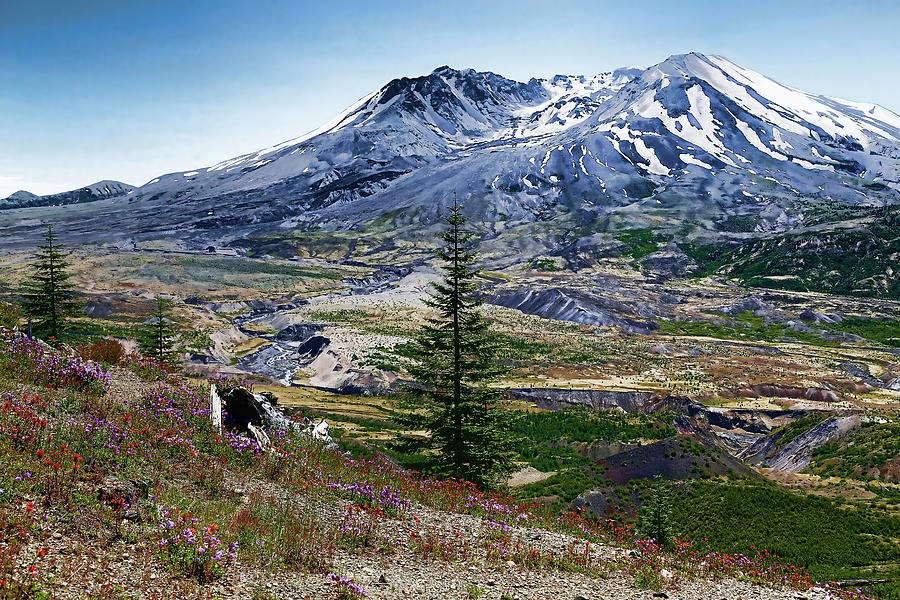 Paint Brush Mt St Helens Photograph by Athena Mckinzie