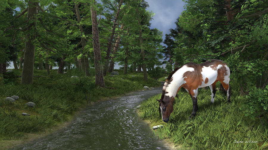 Paint Horse by the Forest Stream Digital Art by Jayne Wilson