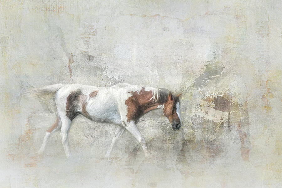 Paint Horse On The Farm Photograph by Jai Johnson