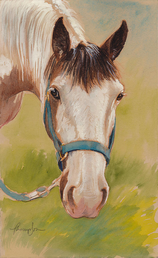 Horse Painting - Paint Horse Pause by Tracie Thompson