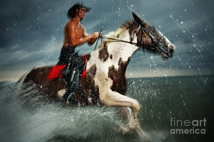Paint horse running in the water Photograph by Dimitar Hristov