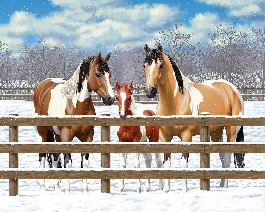 Paint Horses In Winter Corral Painting by Crista Forest