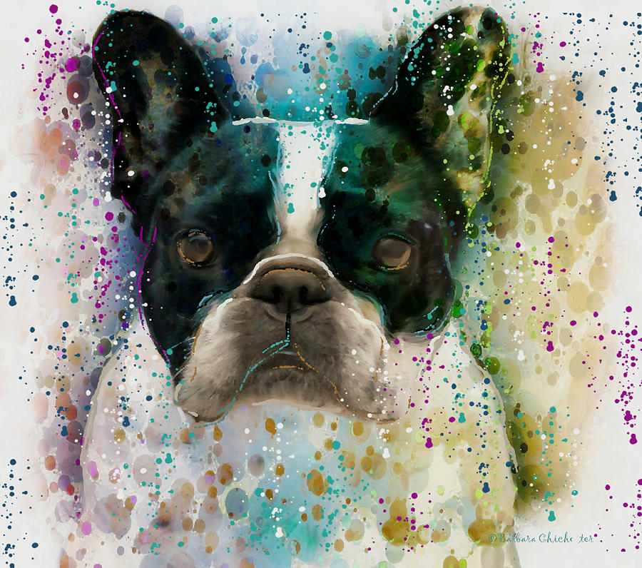 Paint It Frenchie Photograph by Barbara Chichester
