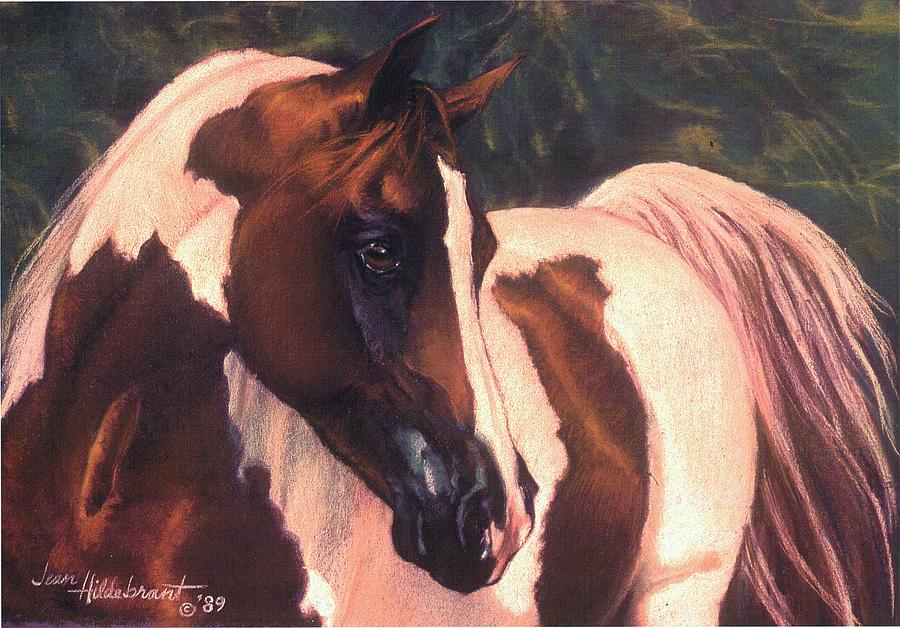 Horse Pastel - Paint by Jean Hildebrant