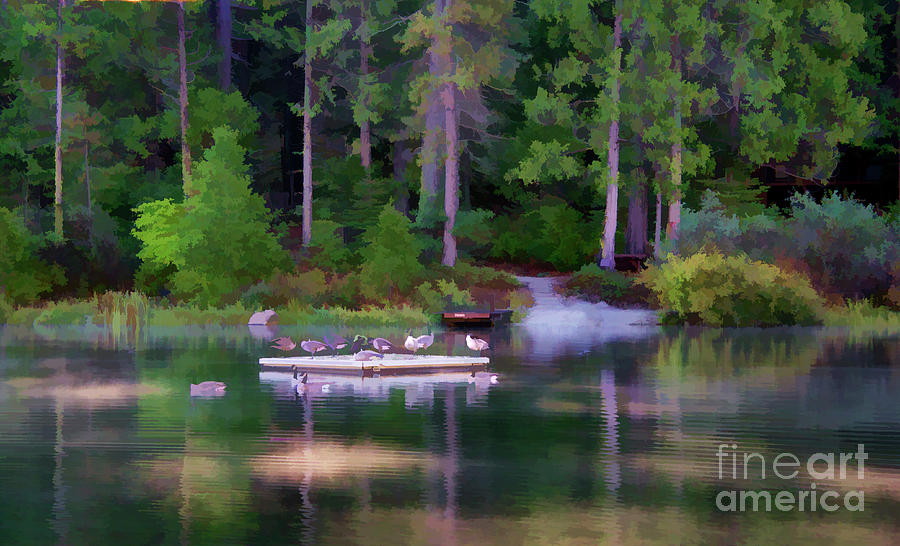 Paint Nature Geese Morning  Photograph by Chuck Kuhn