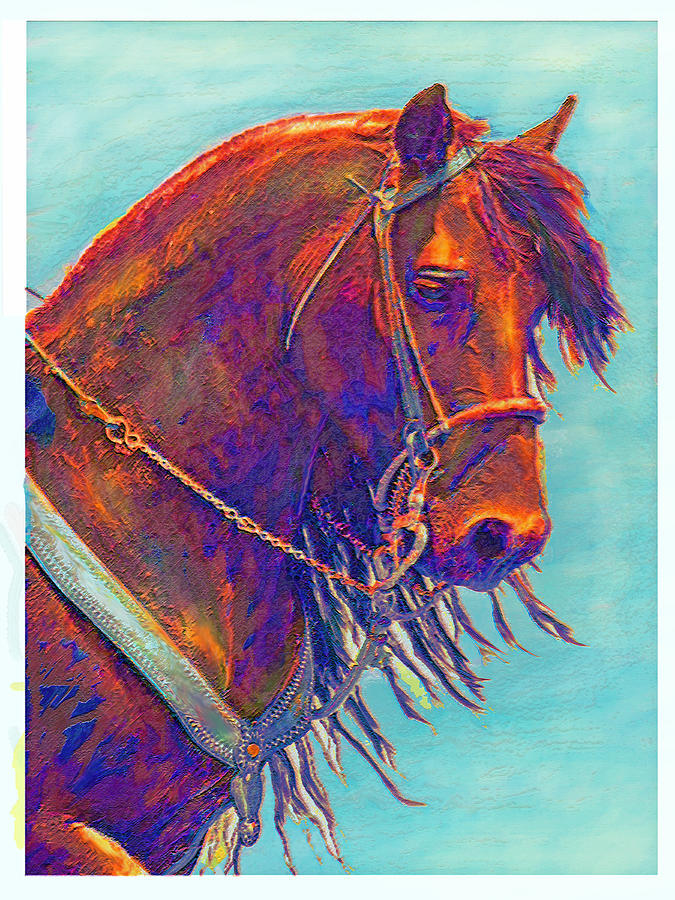 Paint Pony Digital Art by Jane Schnetlage