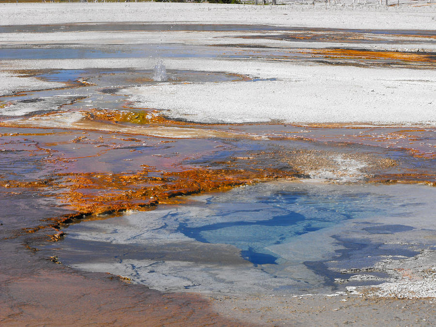 Paint Pots at Yellowstone Photograph by Catherine Sprague - Fine Art ...