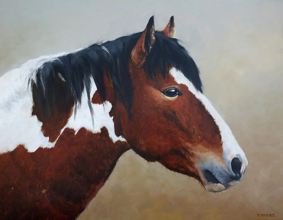 Paint Stallion by Peter Eades Paint Stallion by Peter Eades