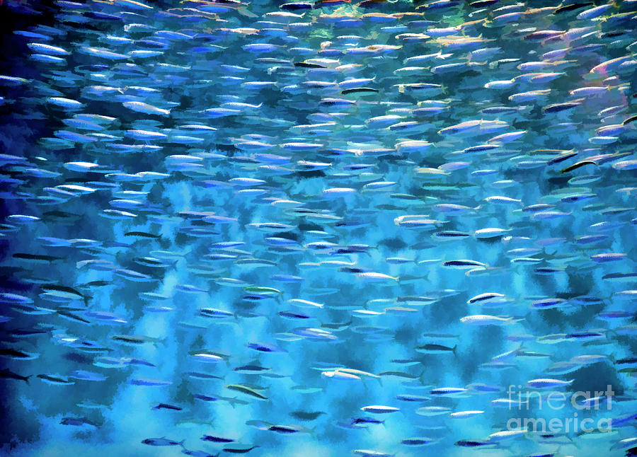 Paint swirl Fish  Photograph by Chuck Kuhn