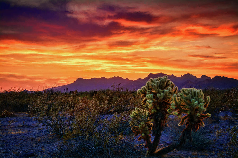 Paint the Desert Skies With Color   Photograph by Saija Lehtonen
