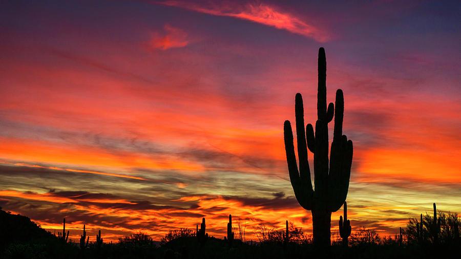 Paint The Sonoran Skies With Color  Photograph by Saija Lehtonen