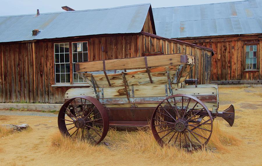 Paint Your Wagon Photograph by Sean Sarsfield