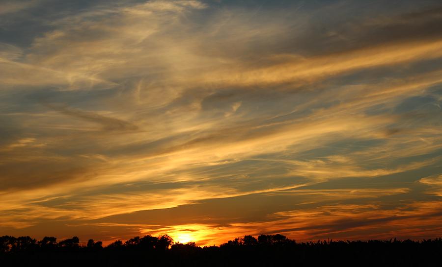 Sunset Photograph - Paintbrush sunset by Weathered Wood
