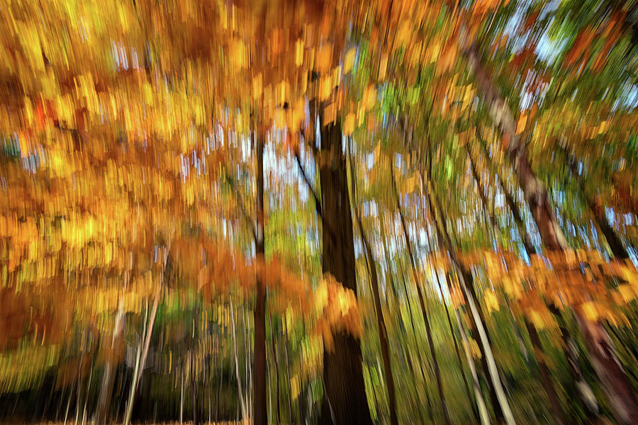Fall Photograph - Painted Autumn by Rick Berk