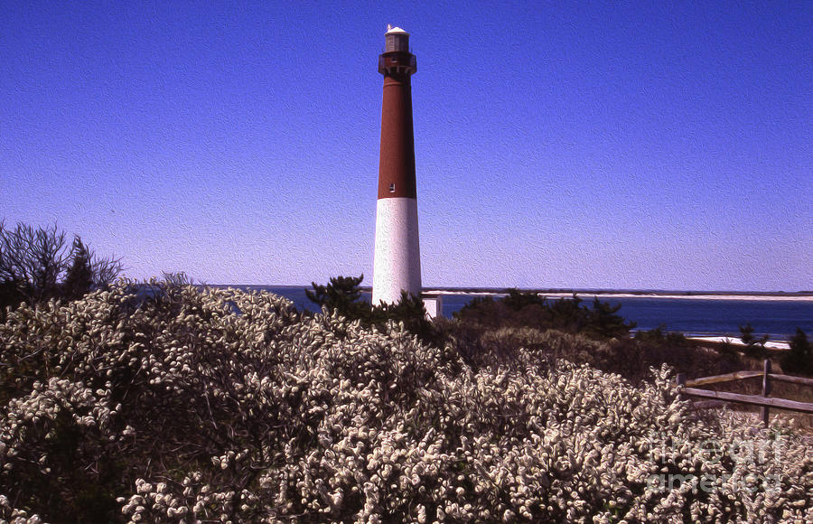 Lighthouse Photograph - Painted Barnegat Lighthouse With Flowers by Skip Willits
