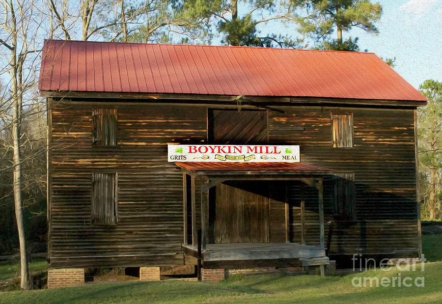 Painted Boykin Mill Photograph by Skip Willits